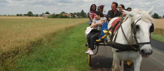 BLOIS THEATRE BROTTIER - 1